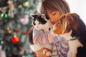 The Pawsitive effect: How pets boost the mental health of teenagers