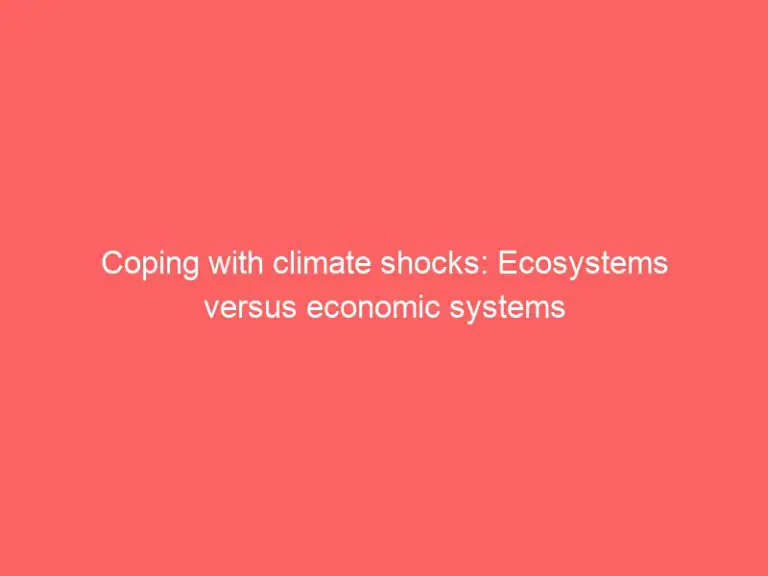 Dealing with climate change shocks: Ecosystems or economic systems?