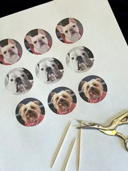 Easy Dog Birthday Party Ideas: DIY Cupcake Toppers