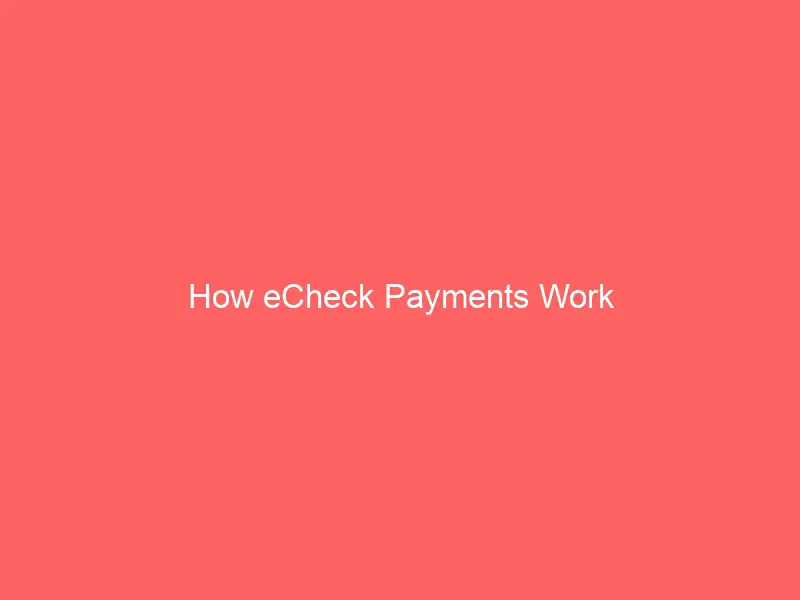 How to Use eCheck Payments