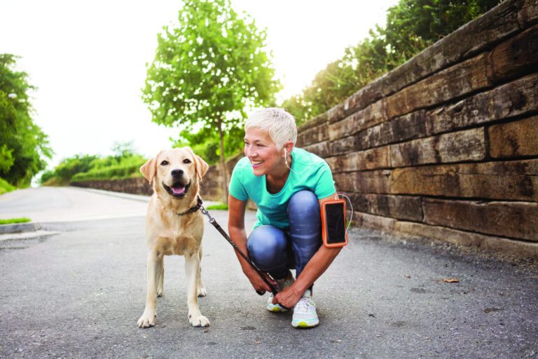 5 Ways to Support Dogs’ Health as They Age