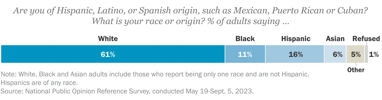 5. Race and ethnicity