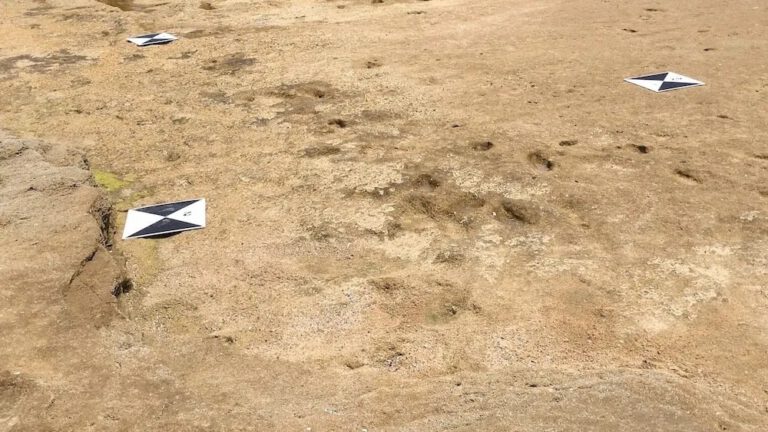 Human Footprints From 90,000 Years Found On A Moroccan Beach