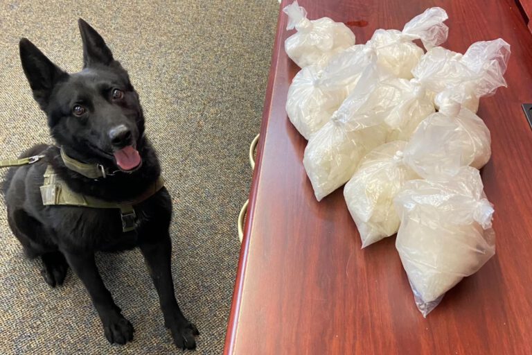 California K-9 discovers pounds of meth in dog treat boxes hidden during traffic stop by police