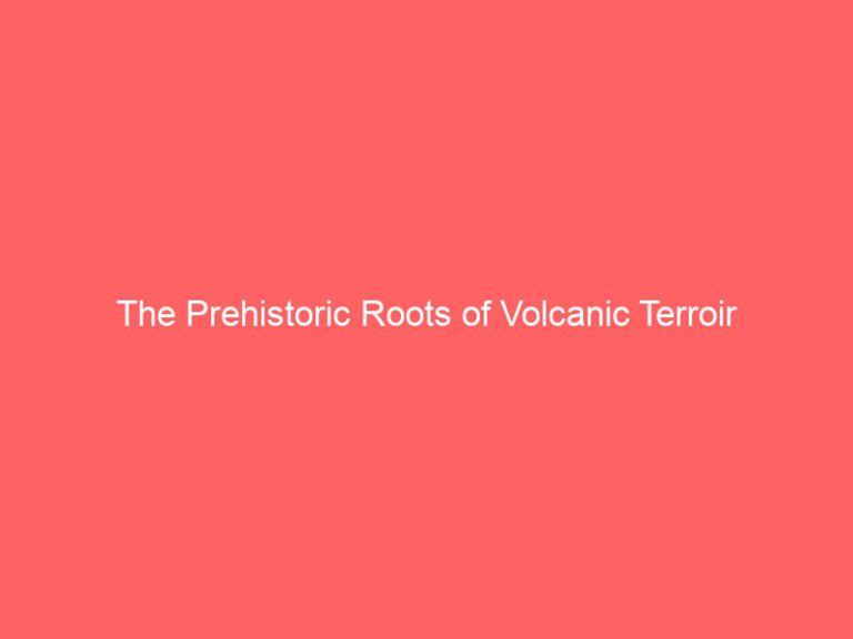 Prehistoric Roots of Volcanic Terroir