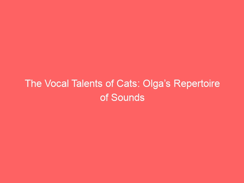 The Vocal Talents of Cats: Olga’s Repertoire of Sounds