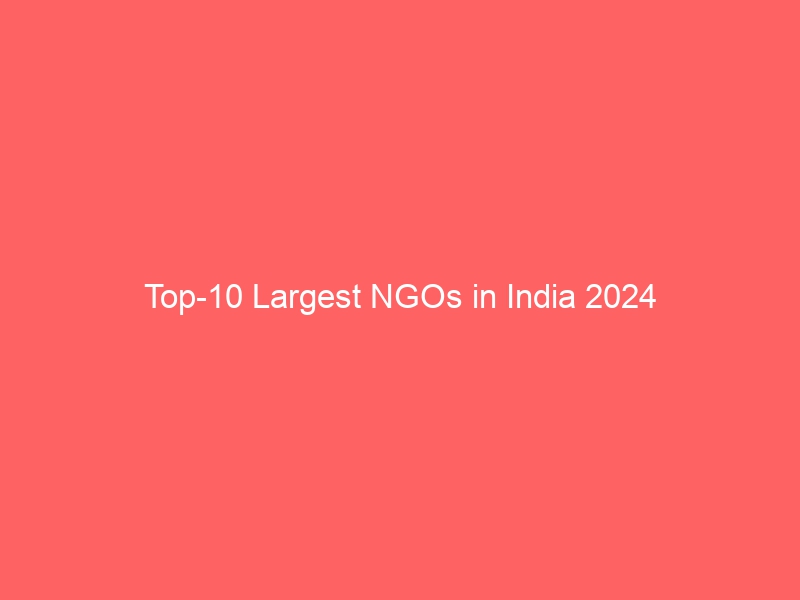 Top-10 largest NGOs of India in 2024