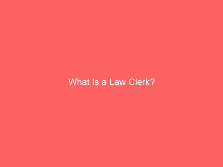 What is a law clerk?