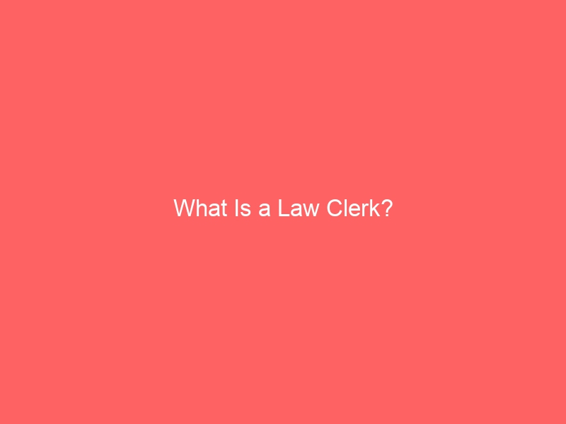 What is a law clerk?