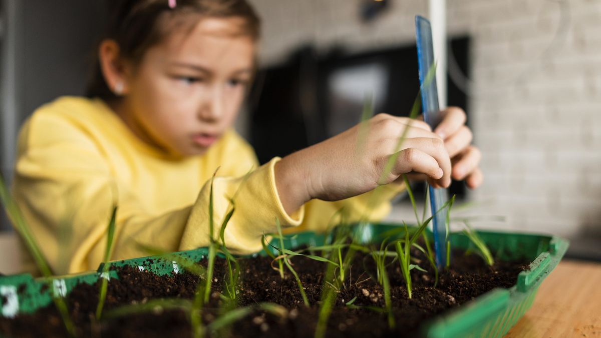 Cultivating knowledge: the transformative power of planting activities