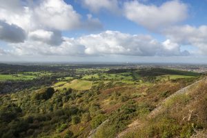 A walk across the Cheshire Plain, the 200-million-year-old landscape where yesterday’s old industrial sites are today’s nature reserves