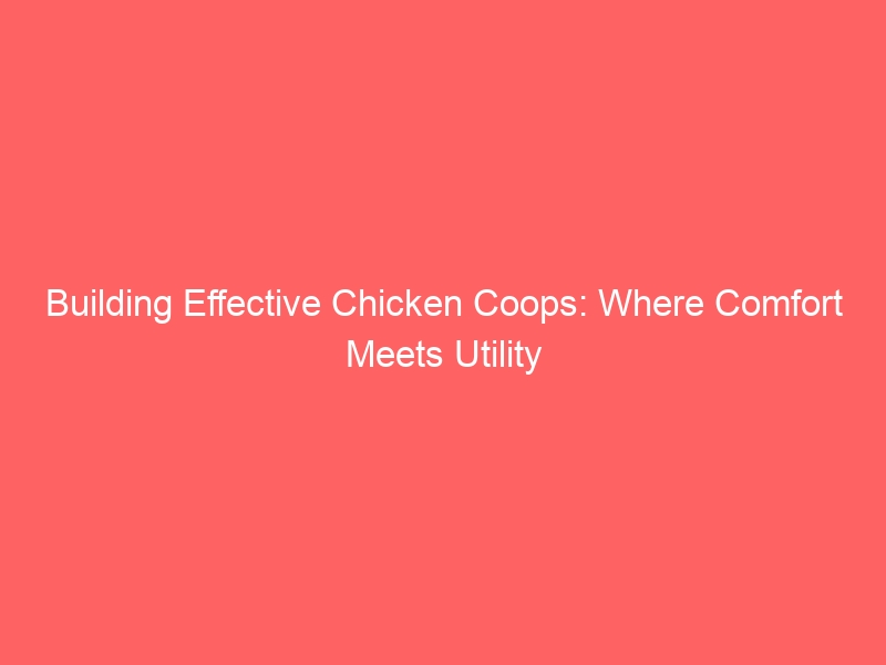 Development Efficient Hen Coops: The place Convenience Meets Application