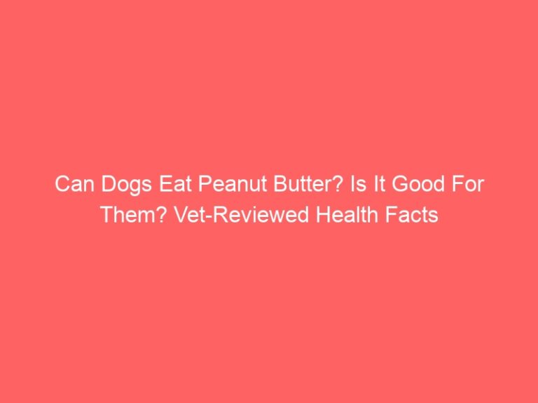 Is it good for them? Can Dogs Eat Peanut Butter? Vet-Reviewed Health Facts