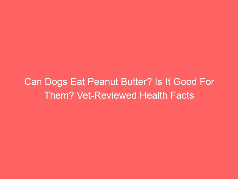 Is it good for them? Can Dogs Eat Peanut Butter? Vet-Reviewed Health Facts