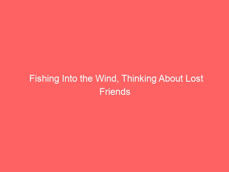 The Wind is Fishing, and I’m Thinking of Lost Friends