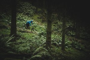 You love where you ride! Here’s how to take part in the first ever national trails survey, and help maintain access rights