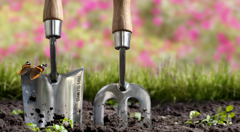 Planting tasks for the month of March: 10 gardening jobs to welcome spring