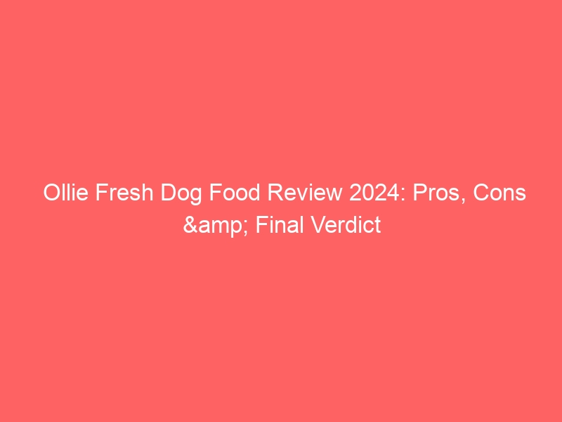 Ollie Fresh Dog Food Review 2024: Pros, Cons & Final Verdict