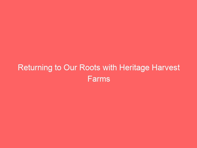 Heritage Harvest Farms: A Return to our Roots
