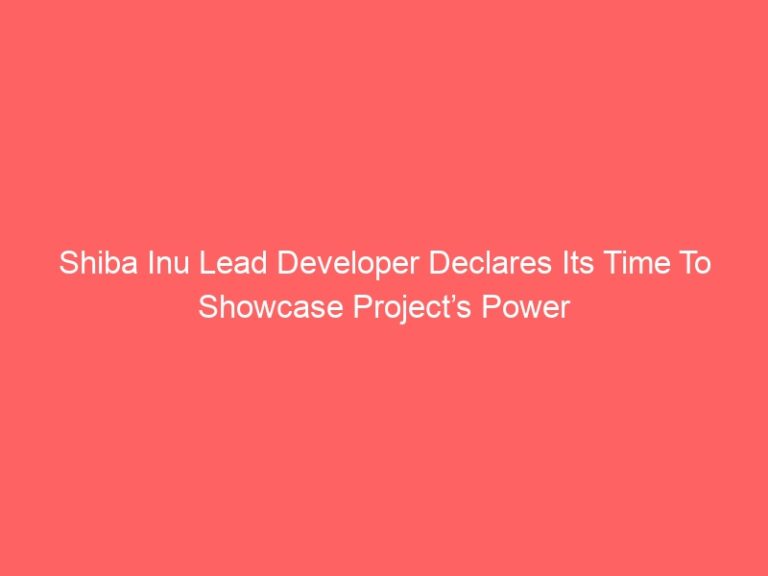 Shiba Inu Lead Developer Declares Its Time To Showcase Project’s Power