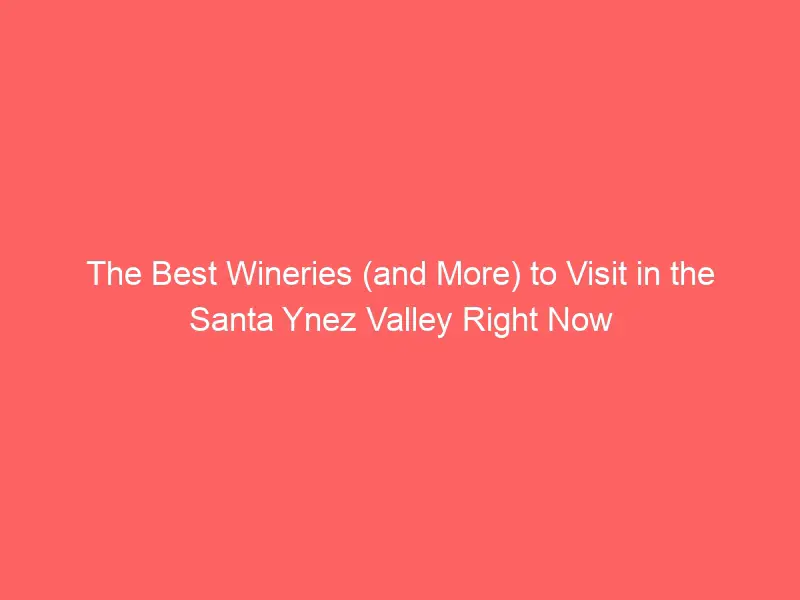 The Very best Wineries (and Extra) to Seek advice from within the Santa Ynez Valley Proper Now