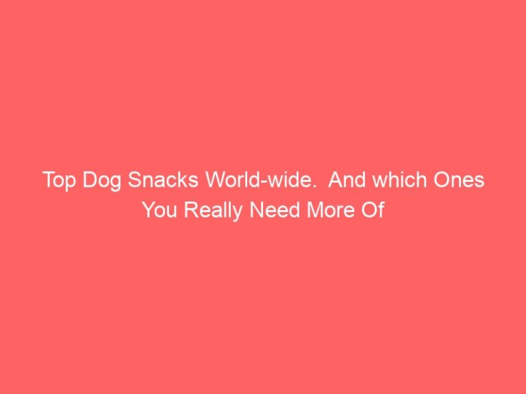 Top Dog Snacks around the world.  What are the best snacks to buy?