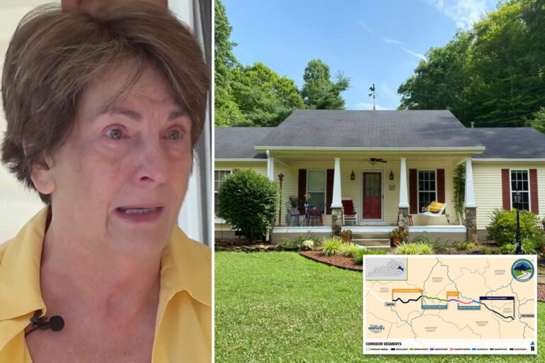 Widow facing eviction from home of 55 years as highway expansion plan goes right through middle of her property: ‘To me, it’s a mansion’