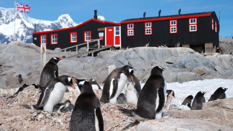 Antarctica's Famous "Penguin Post Office" Is Hiring For The Summer!