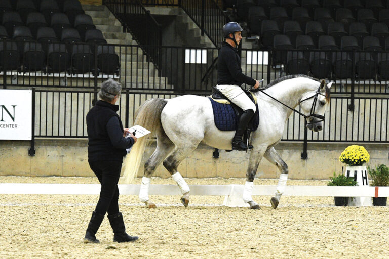 Try a Dressage Ride a Test Clinic