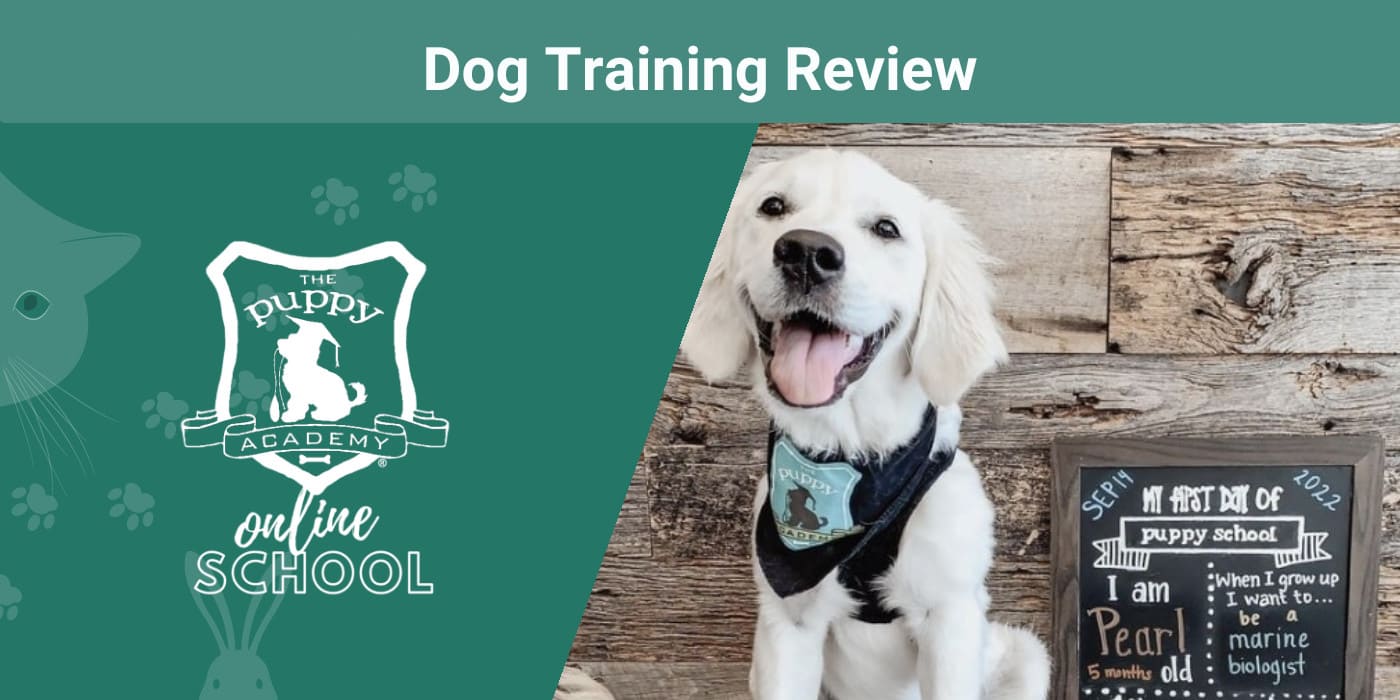 The Puppy Academy Review 2024: Our Expert’s Opinion