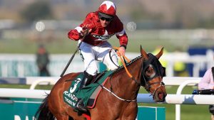 Tiger Roll and Lady Buttons, among other retired stars, will delight Grand National Festival attendees
