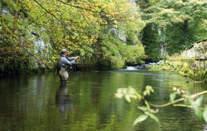 Top 10 Trout Rivers