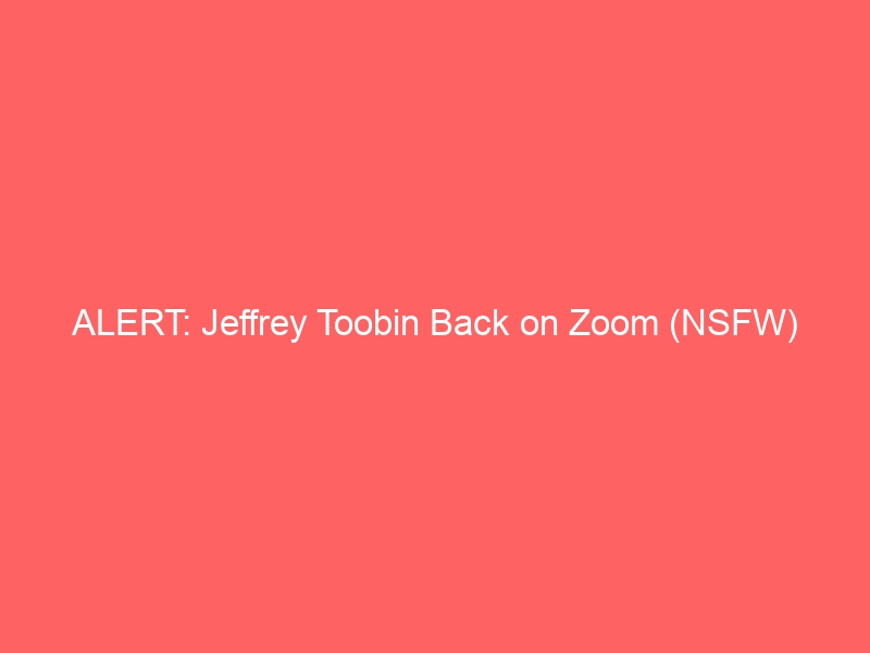 Jeffrey Toobin is Back on Zoom!