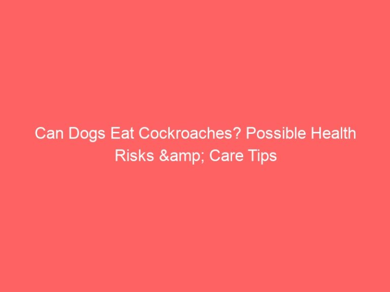Can Dogs Eat Cockroaches? Possible Health Risks & Care Tips