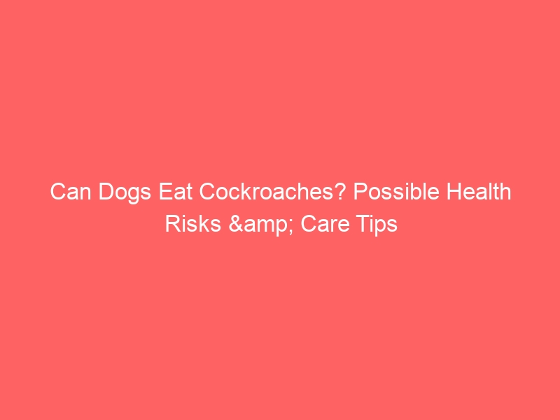 Can Dogs Eat Cockroaches? Possible Health Risks & Care Tips
