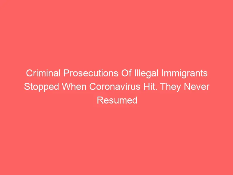 Coronavirus caused a halt to criminal prosecutions against illegal immigrants. They never resumed.