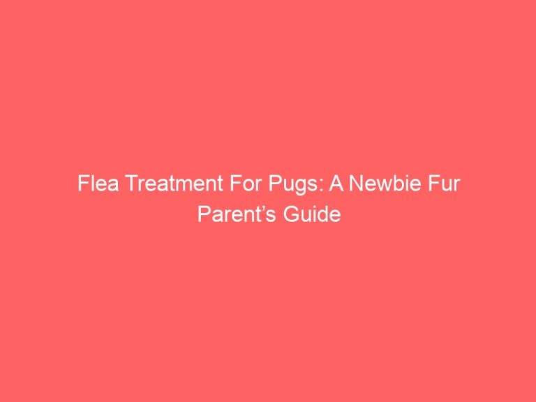 Flea Treatment For Pugs: A Newbie Fur Parent’s Guide