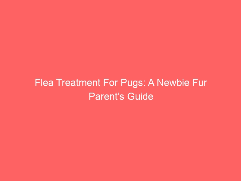Flea Treatment For Pugs: A Newbie Fur Parent’s Guide