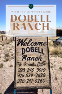 Petrified Wooden: Accumulating on the DoBell Ranch