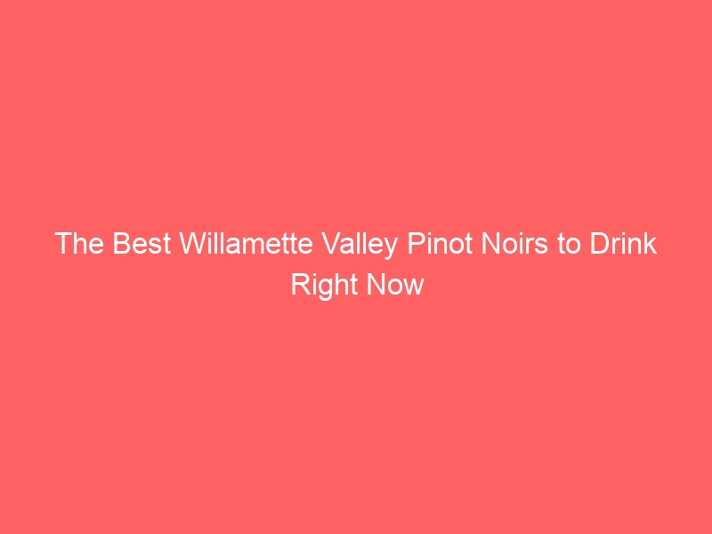 What are the best Willamette Valley Pinot noirs to drink right now?