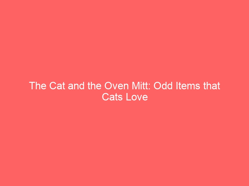 The Cat and the Oven Mitt, Odd Items Cats Love